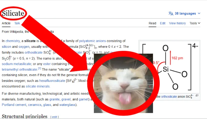 a wikipedia page about silicates but there is a circle around the word silicate and pointing to an image of a cat, fatfatmillycat, sticking her tongue out