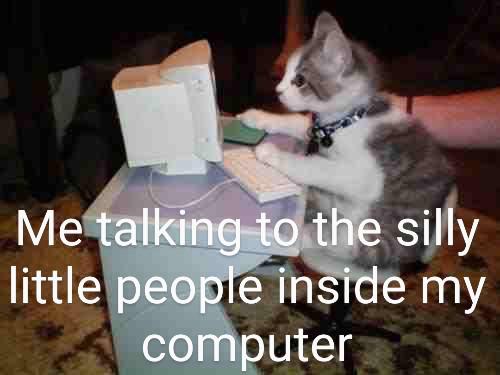 cat on the computer